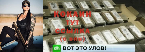 сатива Каменск-Шахтинский