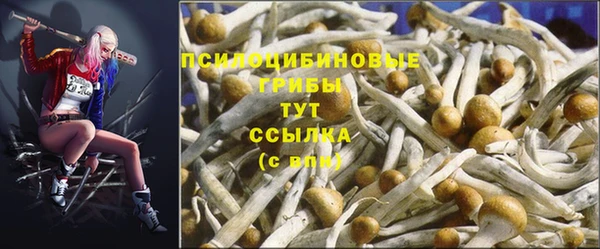 сатива Каменск-Шахтинский