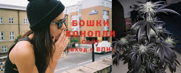 сатива Каменск-Шахтинский