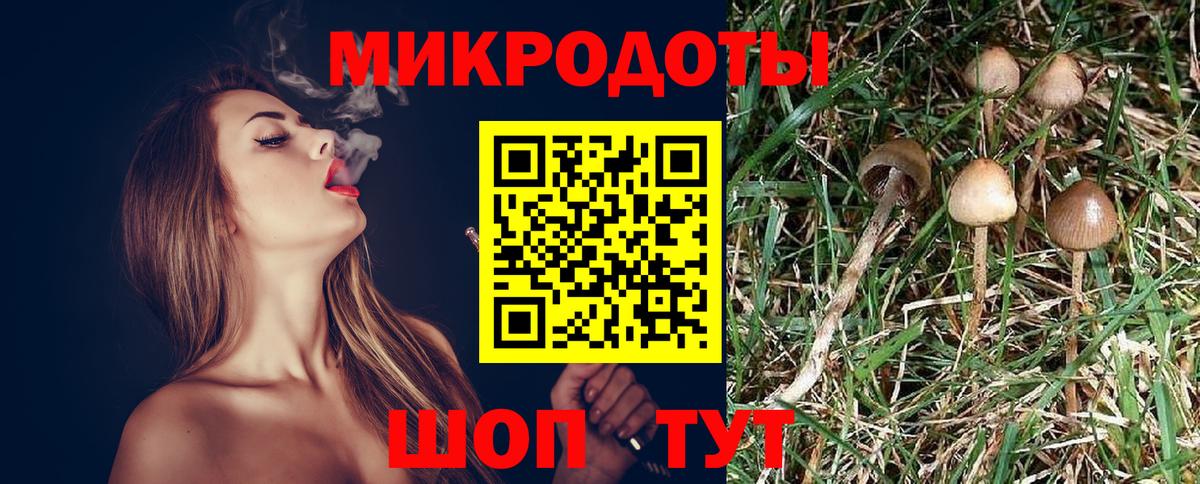Галлюциногенные грибы GOLDEN TEACHER  Вход с VPN  Псилоцибиновые грибы MAGIC MUSHROOMS  Тюмень 